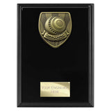 Cobra Plaque Lawn Bowls Award