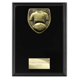 Cobra Plaque Football Shirt & Ball Award