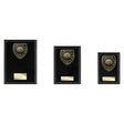 Cobra Plaque Golf Award - Trophies - Prudhoe Rosettes