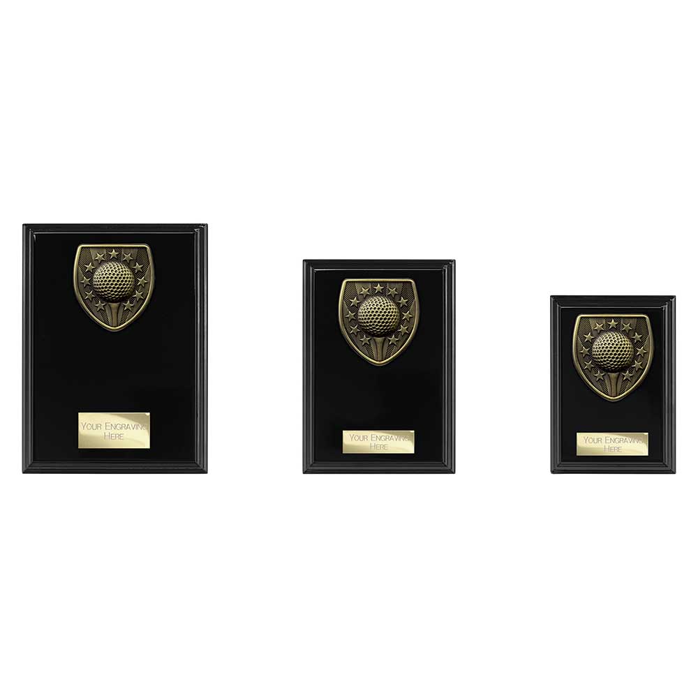 Cobra Plaque Golf Award - Trophies - Prudhoe Rosettes