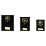 Cobra Plaque Golf Award - Trophies - Prudhoe Rosettes