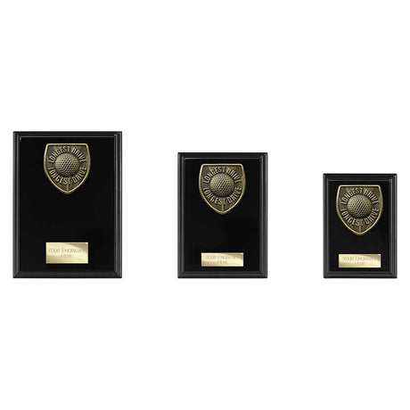 Cobra Plaque Golf Longest Drive Award - Trophies - Prudhoe Rosettes