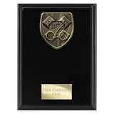 Cobra Plaque Motorsport Piston Award