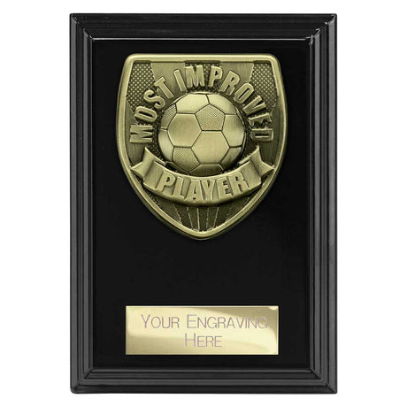 Cobra Plaque Most Improved Player Award