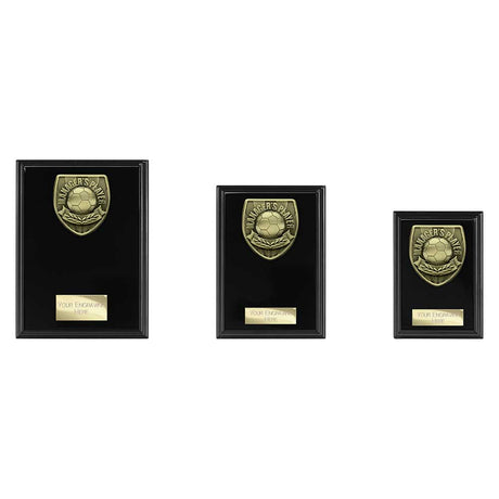 Cobra Plaque Managers Player Award - Trophies - Prudhoe Rosettes