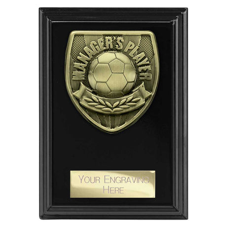 Cobra Plaque Managers Player Award