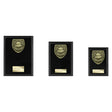 Cobra Plaque Players Player Award - Trophies - Prudhoe Rosettes
