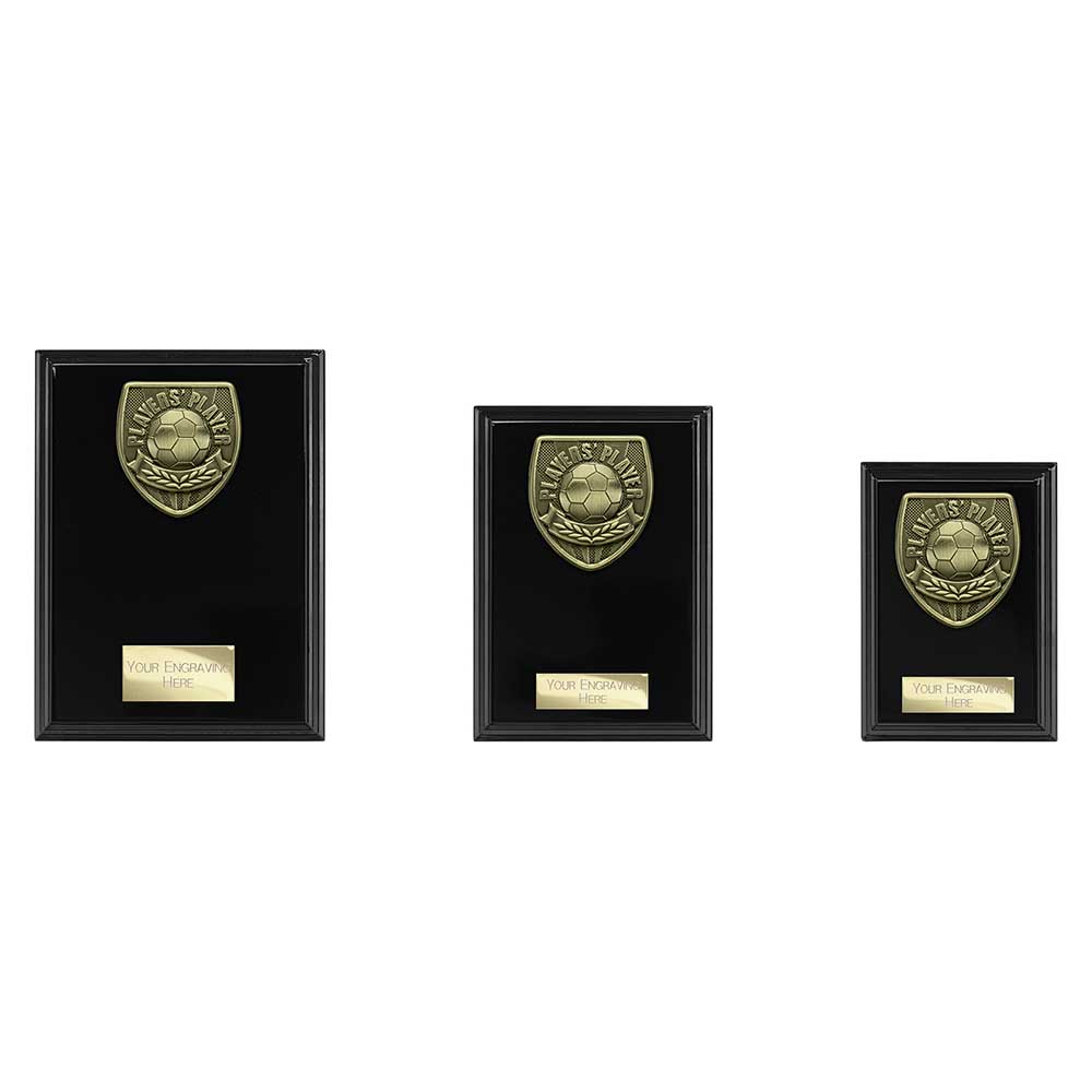 Cobra Plaque Players Player Award - Trophies - Prudhoe Rosettes