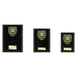 Cobra Plaque Players Player Award - Trophies - Prudhoe Rosettes