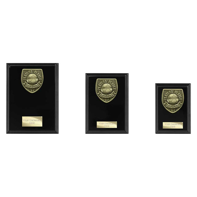 Cobra Plaque Players Player Award - Trophies - Prudhoe Rosettes