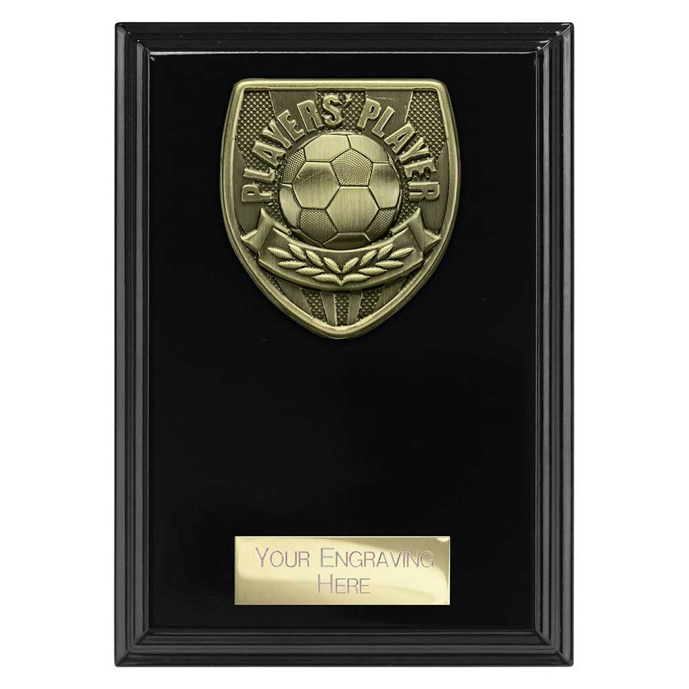 Cobra Plaque Players Player Award