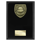 Cobra Plaque Players Player Award
