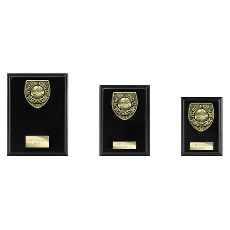 Cobra Plaque Player of Year Award - Trophies - Prudhoe Rosettes