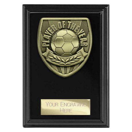 Cobra Plaque Player of Year Award