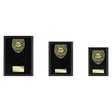 Cobra Plaque Top Scorer Award - Trophies - Prudhoe Rosettes