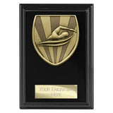 Cobra Plaque Swimming Award