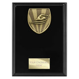 Cobra Plaque Swimming Award
