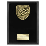 Cobra Plaque Cycling Award
