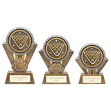 Apex Ikon Pool Award Gold & Silver - Trophies - Prudhoe Rosettes