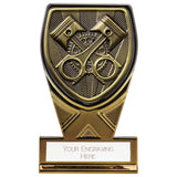 Fusion Cobra Motorsport Award