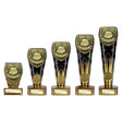 Fusion Cobra Most Improved Player Award - Trophies - Prudhoe Rosettes