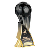 Firestorm Heavyweight Most Improved