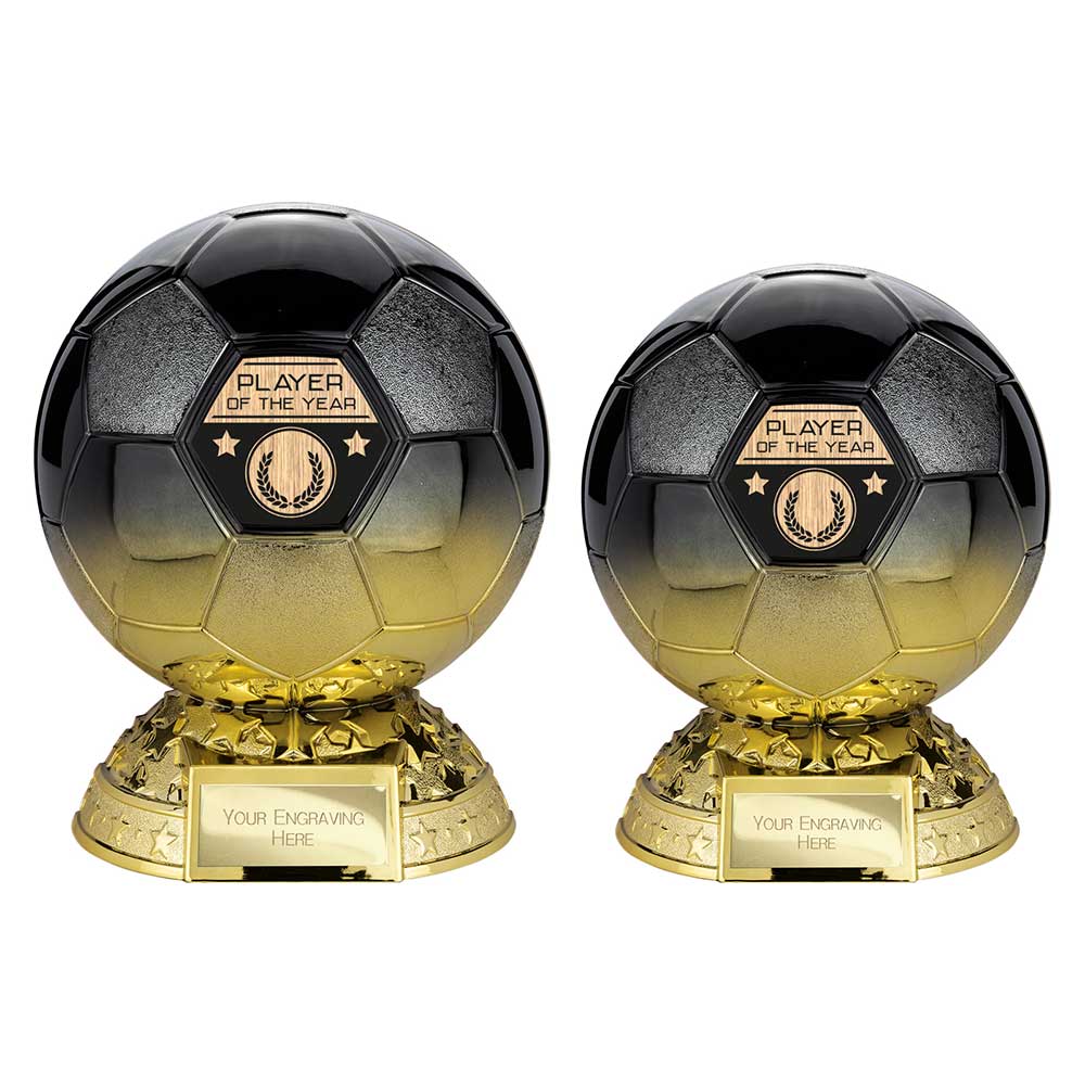 Elite Heavyweight Player of Year Award - Trophies - Prudhoe Rosettes