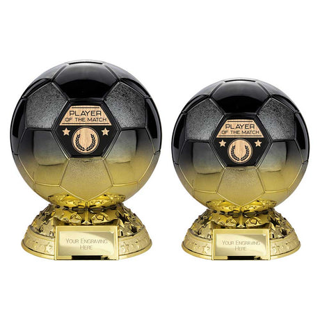 Elite Heavyweight Player of Match Award - Trophies - Prudhoe Rosettes