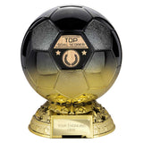 Elite Heavyweight Top Goal Scorer Award
