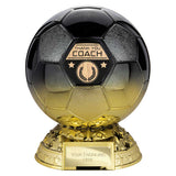 Elite Heavyweight Thank you Coach Award