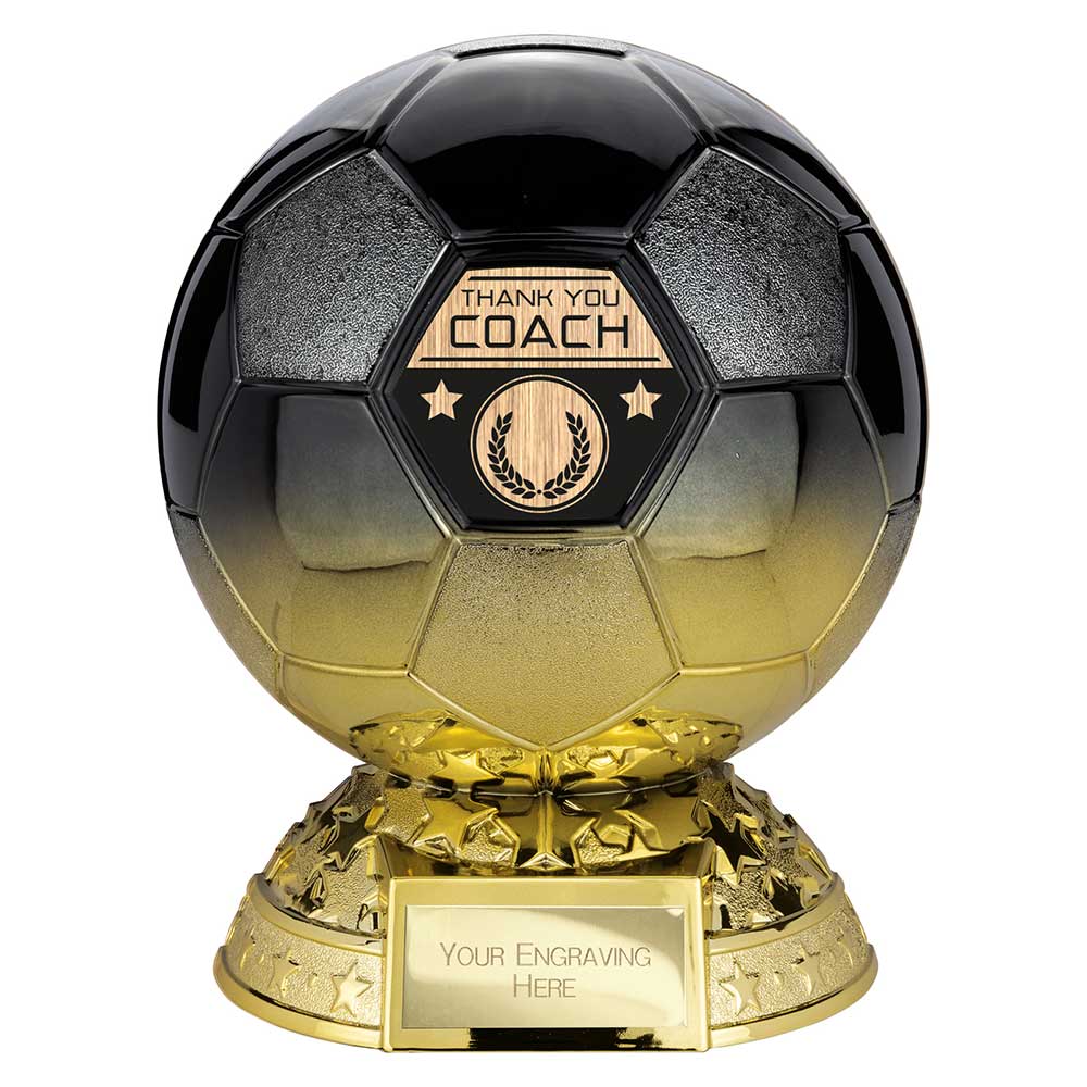 Elite Heavyweight Thank you Coach Award