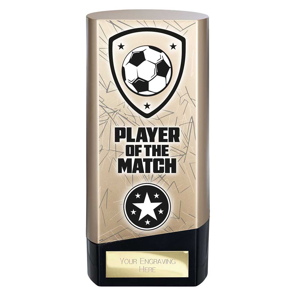 Prime Heavyweight Player of Match