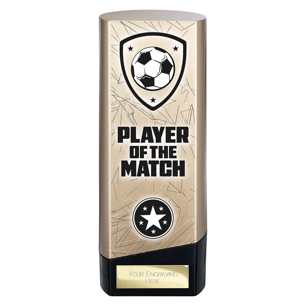 Prime Heavyweight Player of Match