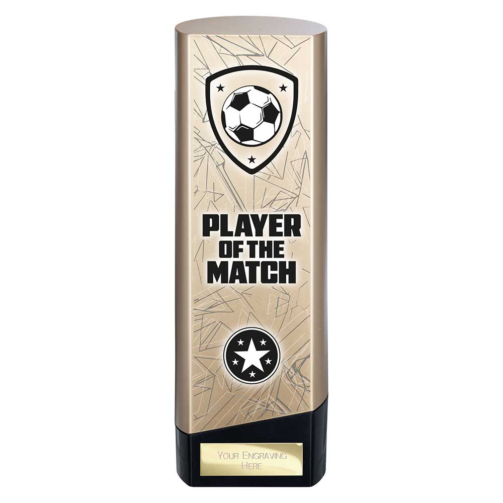Prime Heavyweight Player of Match