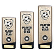 Prime Heavyweight Player of Year - Trophies - Prudhoe Rosettes