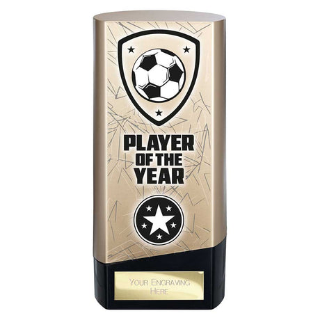 Prime Heavyweight Player of Year