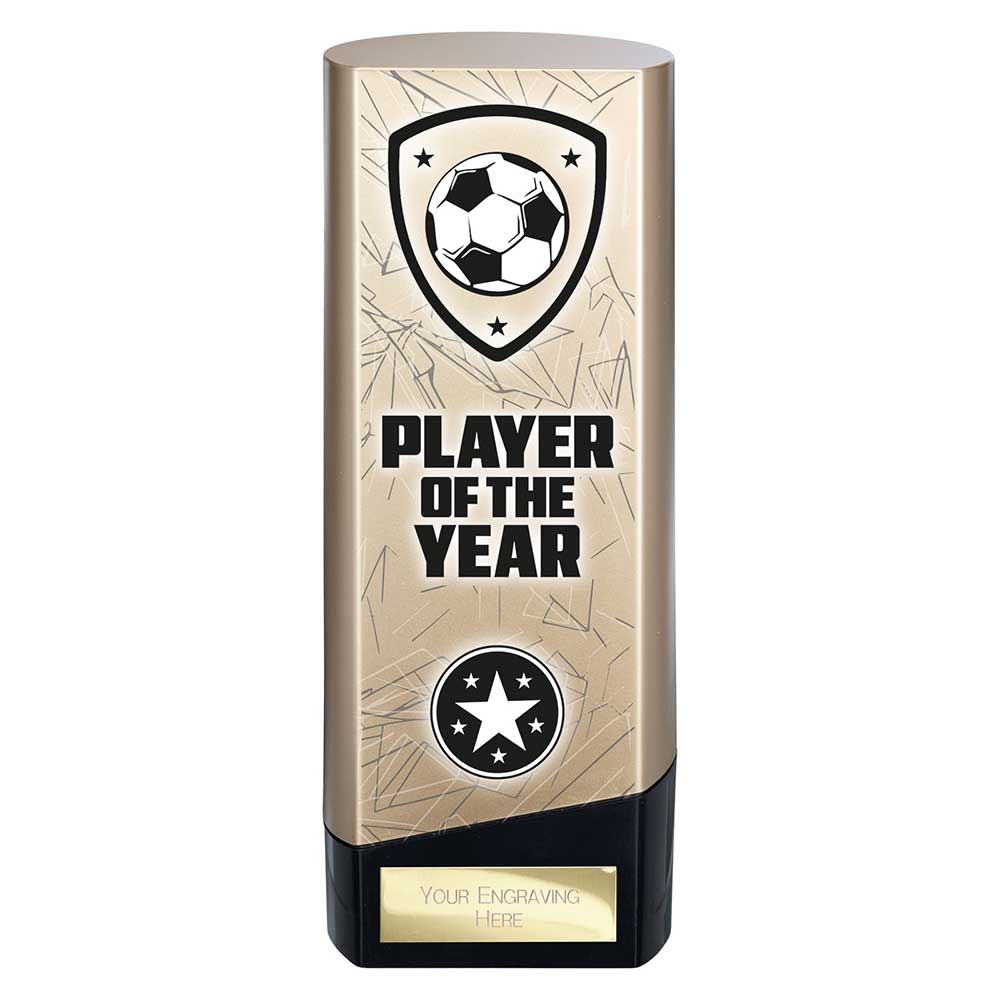Prime Heavyweight Player of Year