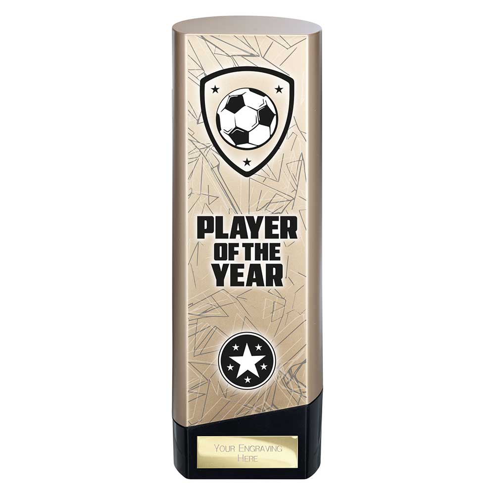 Prime Heavyweight Player of Year