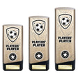 Prime Heavyweight Players Player - Trophies - Prudhoe Rosettes