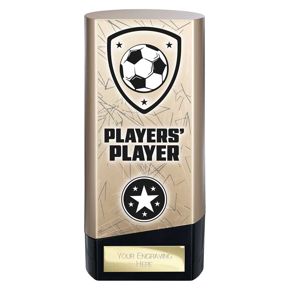 Prime Heavyweight Players Player