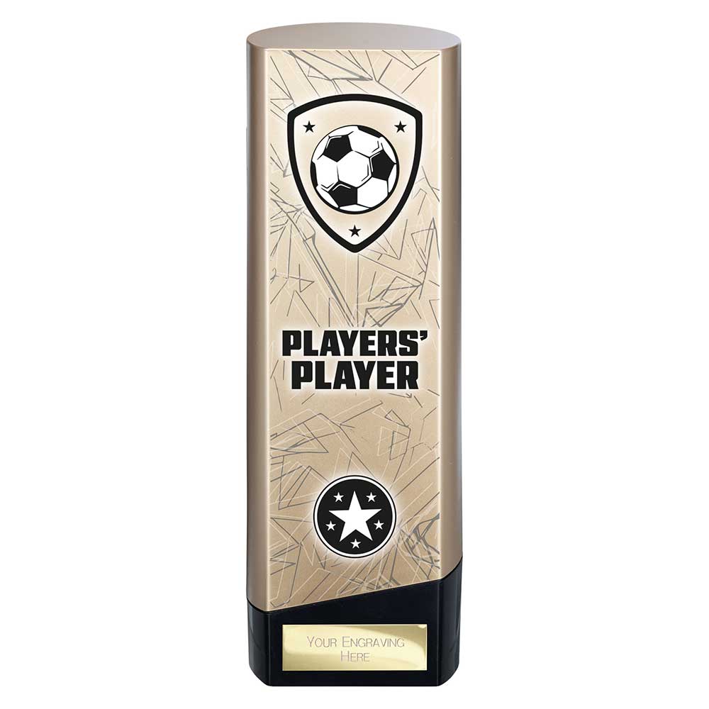 Prime Heavyweight Players Player