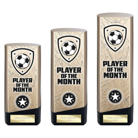 Prime Heavyweight Player of Month - Trophies - Prudhoe Rosettes