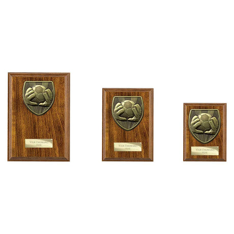 Cobra Plaque Football Goal Keeper Award - Trophies - Prudhoe Rosettes