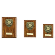 Cobra Plaque Managers Player Award - Trophies - Prudhoe Rosettes