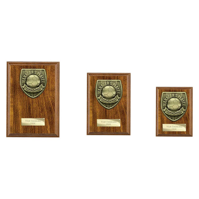 Cobra Plaque Managers Player Award - Trophies - Prudhoe Rosettes
