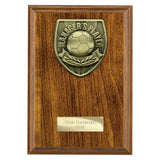 Cobra Plaque Managers Player Award