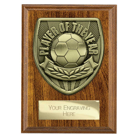 Cobra Plaque Player of Year Award