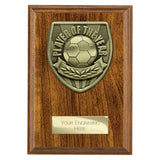 Cobra Plaque Player of Year Award