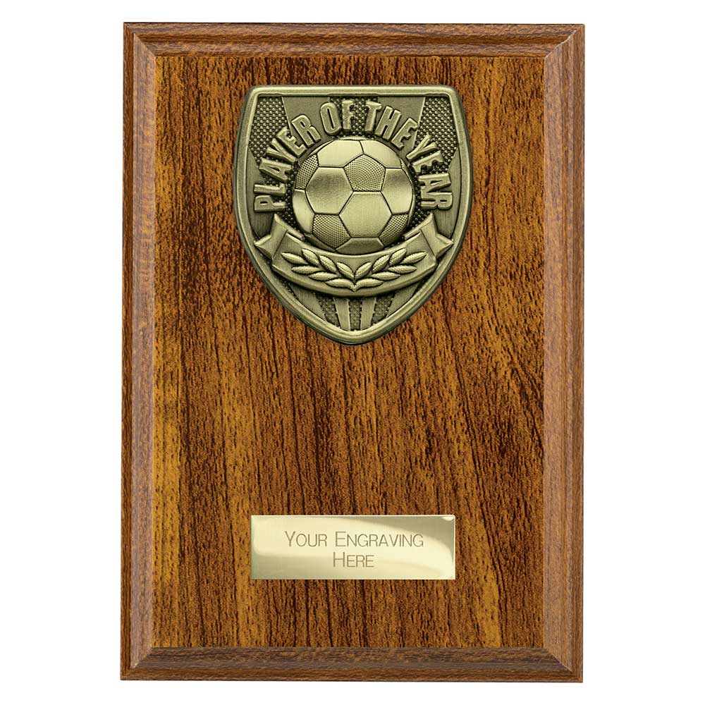 Cobra Plaque Player of Year Award
