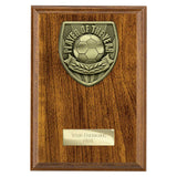 Cobra Plaque Player of Year Award